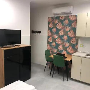 Apartman Level 1, Szeged